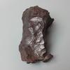 НАУКА Железный метеорит Октаэдрический метеорит Республика в оригинальном образце Образец "Гибеон (Метеориты Гибон) приблизительно. 3,0 г, Местонахождение Намибия,