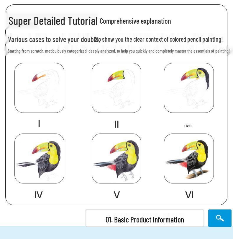 Классический набор цветных карандашей: 6 книг - Птицы, Цветы, Фигуры, Суккуленты, Пейзажи, Животные для начинающих