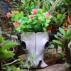 Resin Bull Head Skull Flower Pot Home Garden Decoration Planter Container Desktop Creative Retro Bull Head Statue Vase Ornament