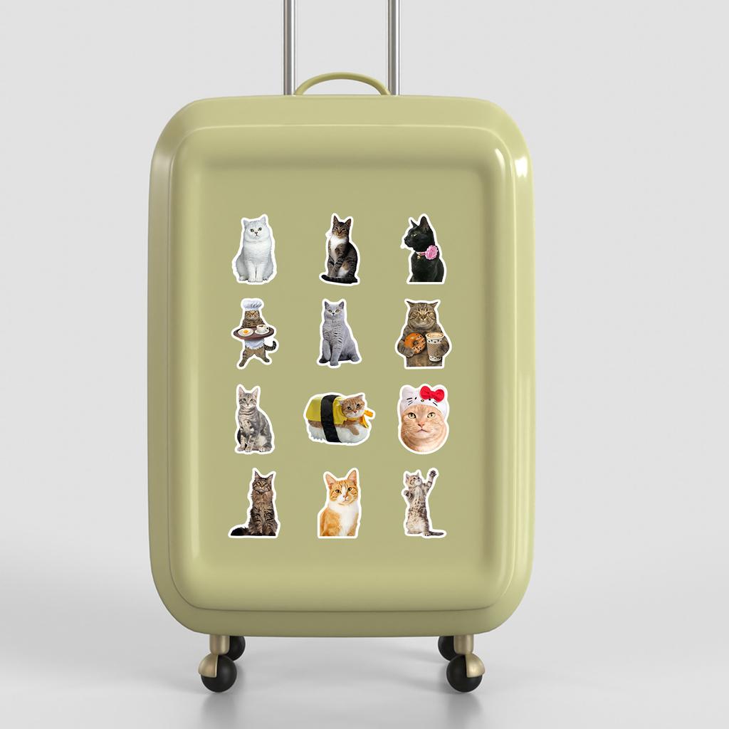 50 Мультяшных Милых Эмодзи Котят Набор Граффити Наклеек Чехол для Мобильного Телефона Ручной Аккаунт Наклейки для Компьютера Чемодана