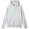 Puma Essential Hoodie Ft Sports Casual Hooded Sweatshirt Men Hoodies Light-Heather-Gray 683480-04
