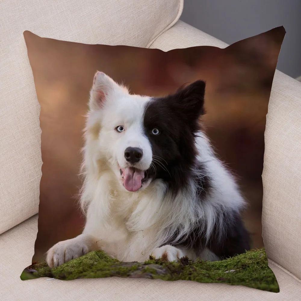 Soft Plush Cute Pet Animal Cushion Cover Scotland Border Collie Pillowcase for Sofa Car Decor Dog Printed Pillow Case