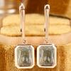 Dazzling Gold Color Rectangular Zircon Dangle Earrings for Women Daily Wear and Party