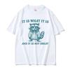 It Is What It Is and It Is Not Great Raccoon Funny Meme T-Shirt Men Women Harajuku Retro Fashion High Quality T Shirts Oversized
