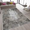Washable Printed Carpet LNA1550-SD295