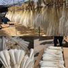 30PCS Small Reed Immortal Flower Bouquet Pampas Grass Dry Flowers Christmas DIY Decorations White