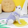 Pet Neutering Suit Colorful Striped Cat Sterilization Surgery Suit Fastener Tape Closure Dog Recovery Suit Pet Supply