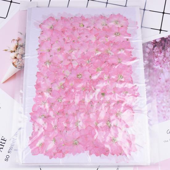12Pcs Dried Flowers Creation Epoxy Resin DIY Pressed Long-lasting Dried Flowers