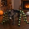 Halloween Spider Costume for Dog Cat Hairy Spider Pet Dress Up Outfit for Halloween Party Accessory Festival Costume