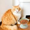 Новая наклонная приподнятая миска для кошек, пластиковая миска для кошек и собак, миска для домашних животных против рвоты, диспенсер для корма и воды, приподнятая миска для собак, товары для домашних животных