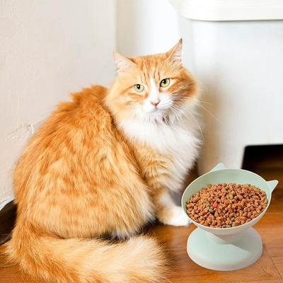 Новая наклонная приподнятая миска для кошек, пластиковая миска для кошек и собак, миска для домашних животных против рвоты, диспенсер для корма и воды, приподнятая миска для собак, товары для домашних животных
