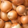 Onion Sochaczewska Seeds 5g Vegetables for the Garden