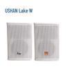 HUSHAN YH100 Решение для конференций (Китайская версия)