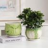 Creative Pattern Ceramic Flower Pot with Tray