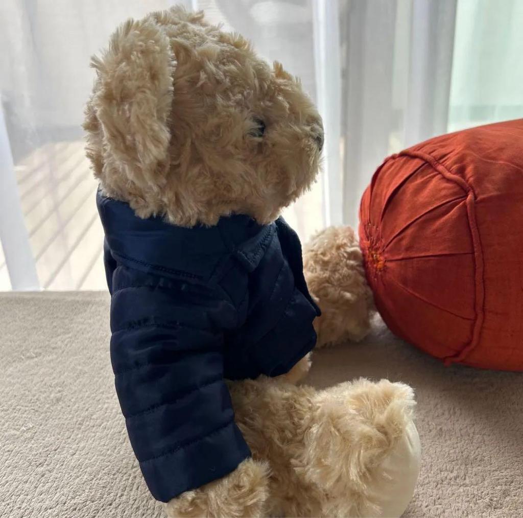 [USED] BENTLEY BEAR Bentley teddy bear plush toy