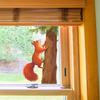 Мультяшная Милая Белочка Наружный Балкон Стеклянное Окно Домашний Декор и Украшение Наклейка на Окно