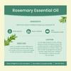 Nat Habit Rosemary Essential Oil - 15ml