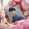Korean S-Song K-Kang Pillow Case Soft Plush Fabric Double-Sided Printed Cushion Cover Warm Winter Sofa Pillow Case