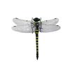Simulated Dragonfly Pendant PVC Hanging Repellent Realistic Design Pest Deterrence Ornament Dragonfly Hunting Accessory