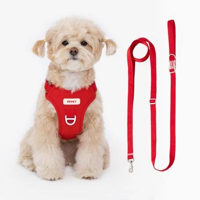 Шлейка + поводок для домашних животных Pet Pet, красный