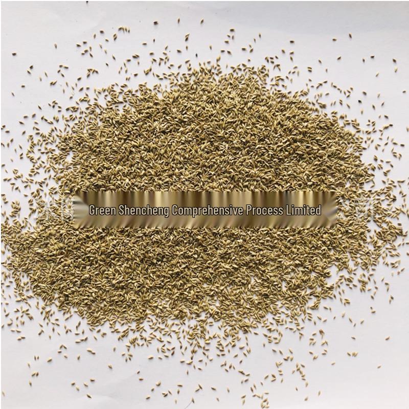 Dwarf Bermudagrass: Evergreen, Drought & Wear-Resistant Premium Lawn Seed for All Seasons
