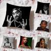 2P-PAC Tupac S-Shakur Наволочка-подушка Премиум Комфорт Двусторонняя Подушка - Дизайн "Два в одном" для Любой Комнаты и Салона Автомобиля