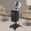 Black Multi-function Hair Care Equipment,110V Rectangle Freestanding Nano Hair Steamer 30*32*77.5cm 4 Wheels for Hair Salons