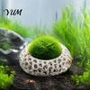 Shrimp Cave for Aquarium 2Pcs Caves Plants, Round Hideouts, Cherry & Dwarf Tank Accessories Hides Moss Ferns And Anubias, Decoration Decorations