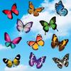 New 20PCS Butterfly Window Stickers Anti-Collision Window Clings Decals Reusable Glass Window Film Wall Stickers