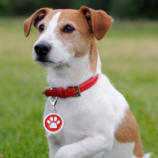 Ошейник для собак, устойчивый к ржавчине, декоративный, устойчивый к коррозии, двусторонний, с бесплатной гравировкой, для собак, кошек, идентификационная бирка, аксессуары для домашних животных