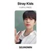 Stray Kids FURYU PRIZE Официальная фотокарточка