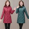 Women's Winter Jacket Long Parkas Thick Warm Snow Coats Female Hooded Cotton Padded Parka Jacket for Woman Coat 6XL