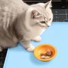 Pet Placemat Waterproof Silicone Pet Food Mat with Raised Edges Spill-proof Pet Bowl Mat for Dogs Cats