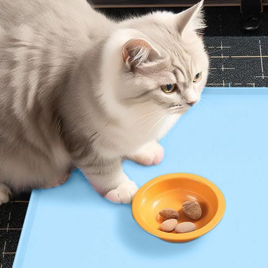 Pet Placemat Waterproof Silicone Pet Food Mat with Raised Edges Spill-proof Pet Bowl Mat for Dogs Cats
