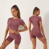 Женский бесшовный костюм для йоги: Спортивный фитнес-комплект из двух предметов с коротким рукавом и шортами