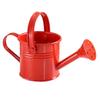Home Kawaii Vintage Metal Water Spraying Pot Watering Can Flower Kettle