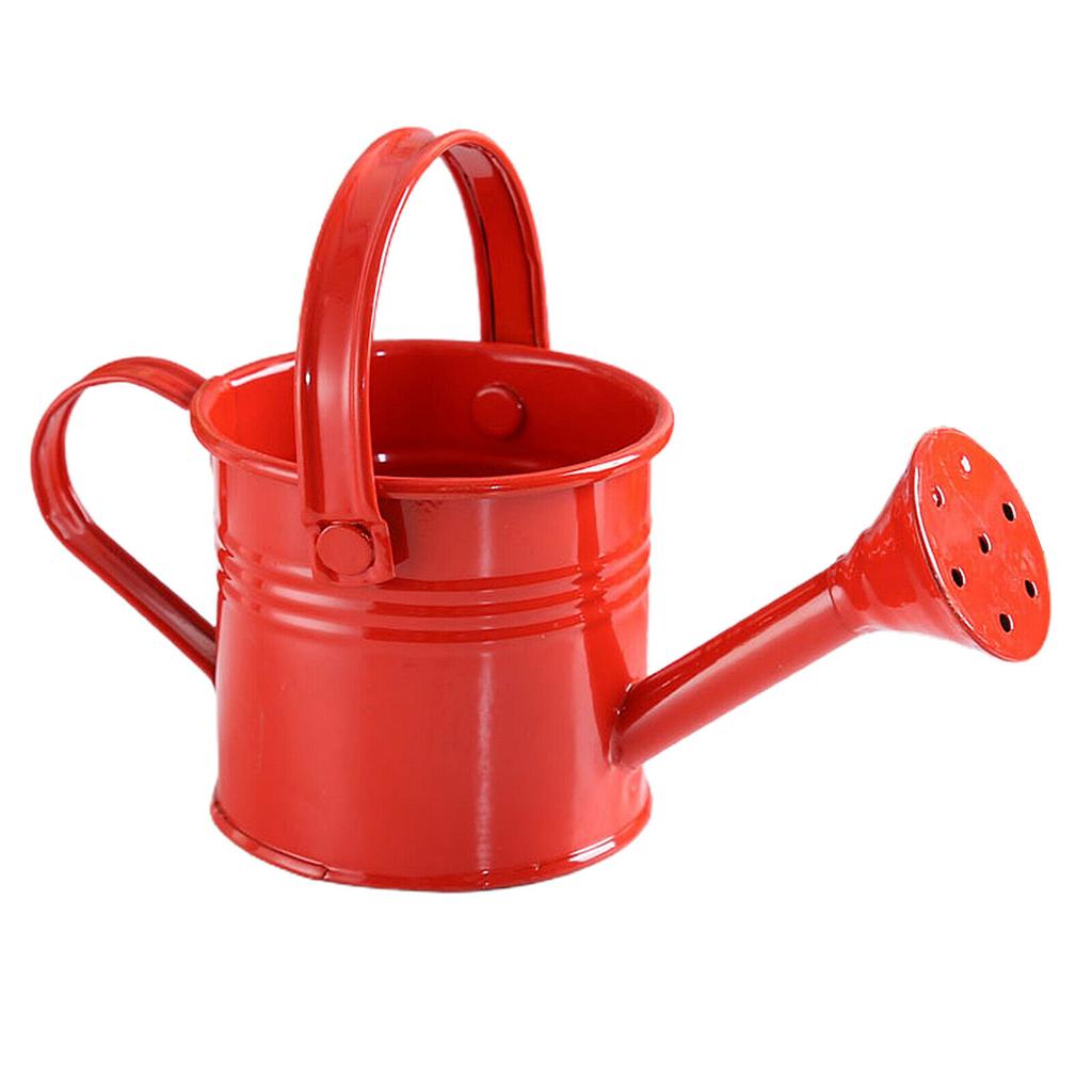 Home Kawaii Vintage Metal Water Spraying Pot Watering Can Flower Kettle