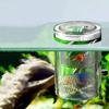 Transparent Aquarium Breeding Box Acrylic Hatchery Incubator Tank  for Clownfish Betta