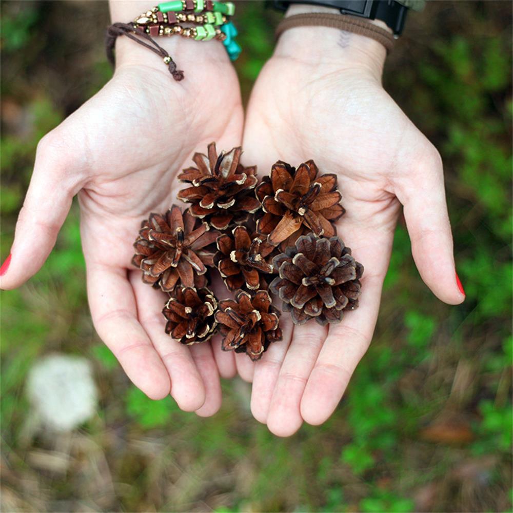 9Pcs/set Home Supplies Party Hanging Ball Christmas Tree Ornament Pinecone Pine Nuts