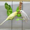 Bird Cuttlebone Holder Bird Cage Feeding Holder Vegetable Fruits Cuttlebone Holder for Parrot Budgies Parakeet Cockatiel