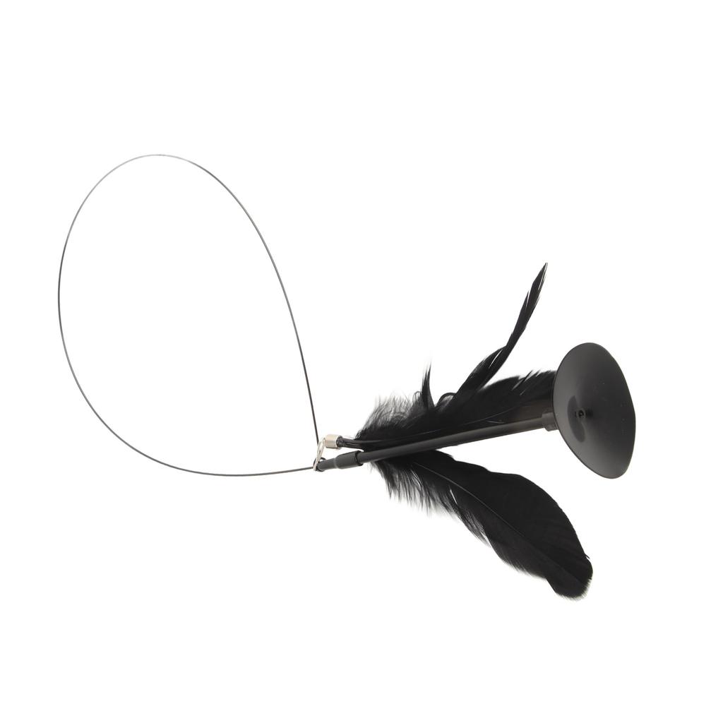 Cat Teaser Stick Self Entertainment Bite Resistant Powerful Suction Cup Cat Feather Wand Toy for