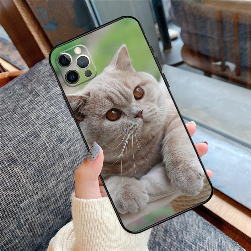 Чехол для телефона Британская короткошерстная кошка Для iPhone 16 15 14 13 11 12 Pro Max 12 13 mini XR 15 16 Plus 16e Защитный корпус