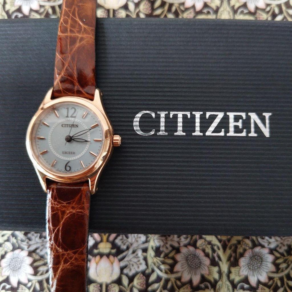 Used Citizen EXCEED Eco-Drive watch