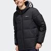 Adidas Neo Down Jackets Men's Black Hooded Moderate Straight Fit GJ8815