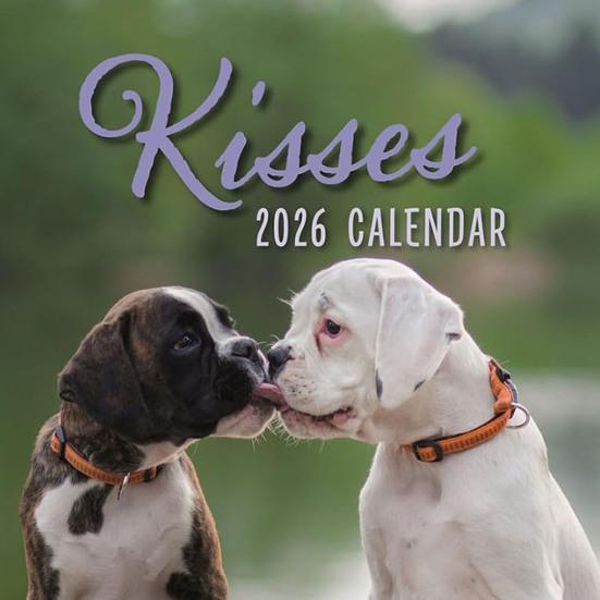 Календарь настенный квадратный 2026 Kisses 16-месячный, тема милых животных, планер с сентября 2025 года, 12x12 дюймов, подвесной органайзер для расписания