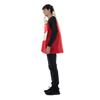 French Fries Prank Carnival Costume, Adult