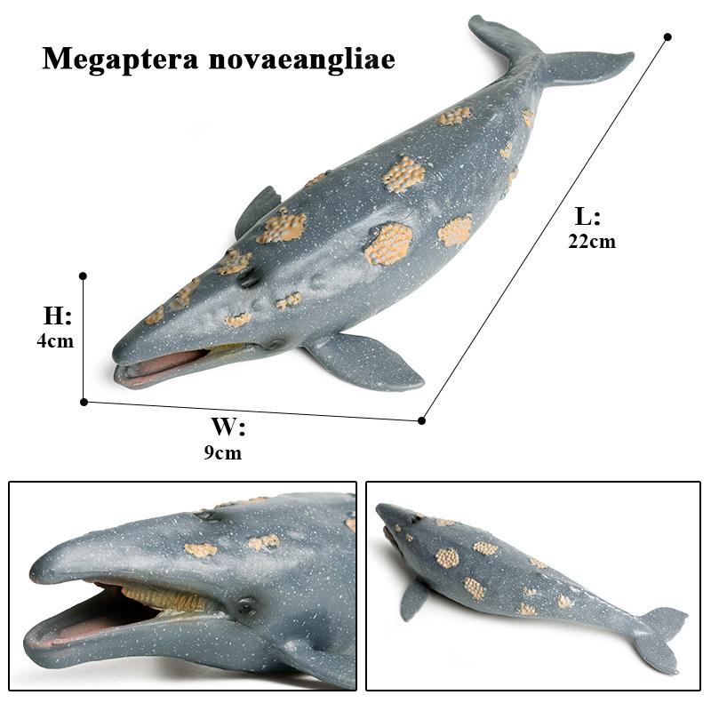 Oenux Фигурки морских животных, фигурки морской жизни, акула, кит, мегалодон, модель, фигурки из ПВХ, украшение для дома, познавательная игрушка для детей