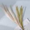 Fake Reed Grass Long-lasting Fade-resistant Realistic Artificial Pampas Grass for Home Wedding Decoration