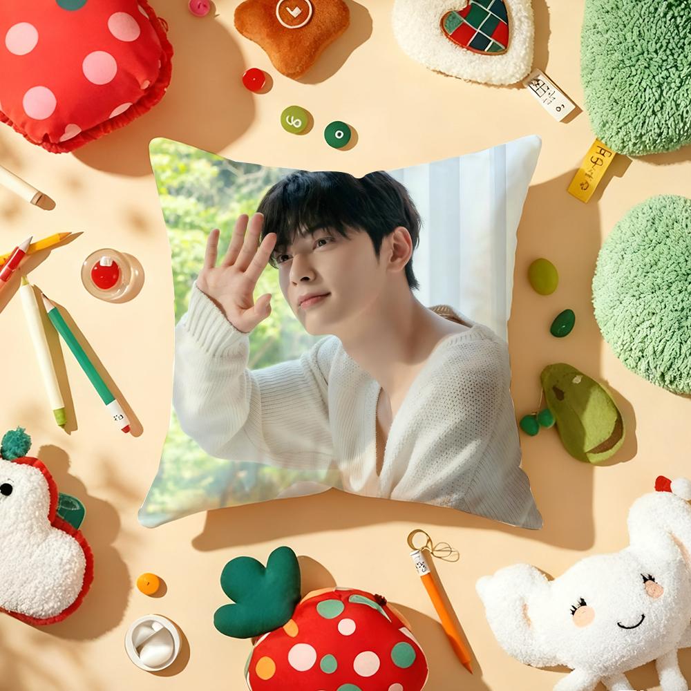 Kpop Singer Cha EEun WWoo Cushion Cover Plush Fabric Soft DoubleSided Printed Sofa Warm Winter Home Gift Pillow Cover