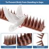 12 Pcs Garden Bird Deterrent Spikes Cat Pigeon Deterrent Fence Wall Spikes Anti Climb Spikes for Windowsill